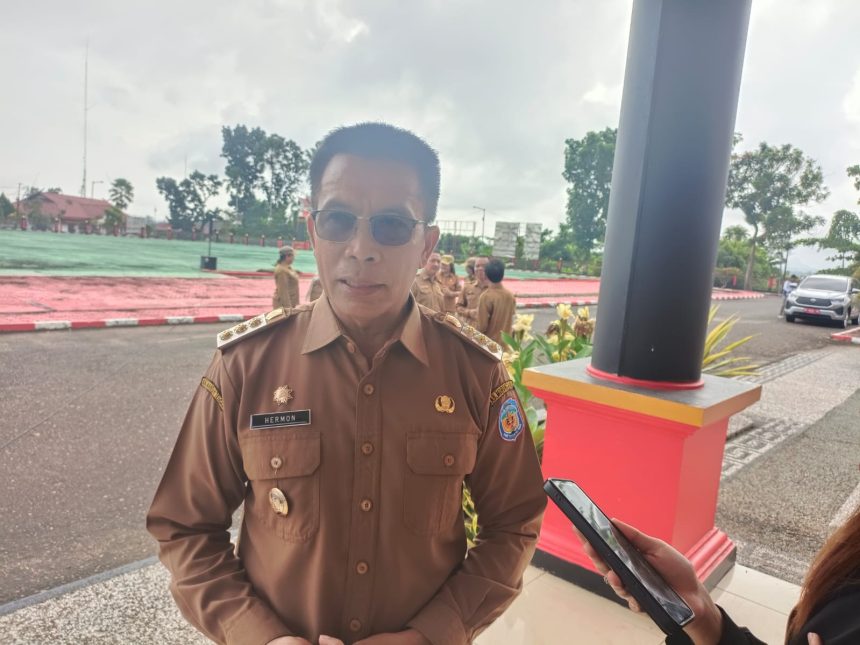 Pj Bupati Mura Hermon (ist)