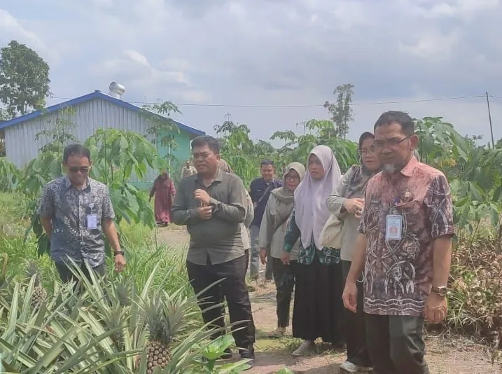 Kementan Ri Monev Bantuan Saprodi Pengolahan Nanas Dan Capaian Ltt Padi Di Batola (ist)