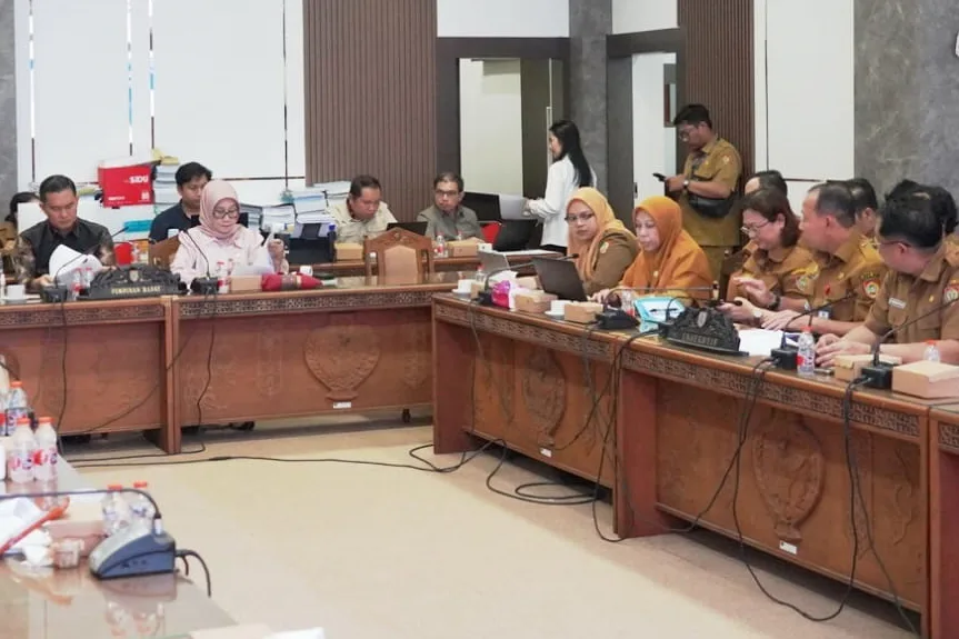 Ketua Komisi Ii Siti Nafsiah