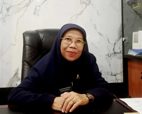 Plt Kadis Dukcapil Barito Utara Hj Nurhamidah SP